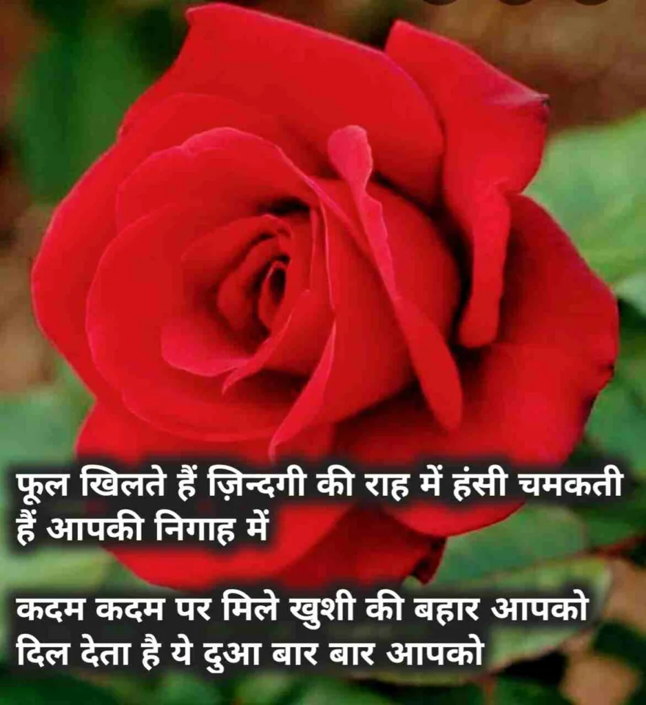 Rose day sayari Hindi 